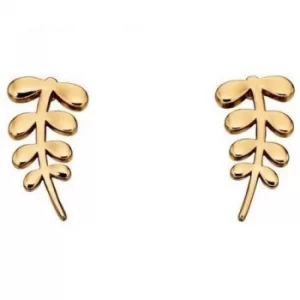 image of Ladies Orla Kiely Gold Plated Earrings