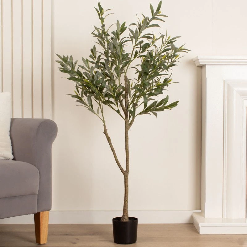 Image of Scottish Everlastings Ltd 120cm Olive Tree in Green Green Unisex