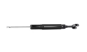Image of RIDEX Shock absorber AUDI 854S0401 4F0413031AA,4F0413031AB,4F0413031AL Shocks,Shock absorbers,Suspension shocks 4F0413031AQ,4F0413031AR,4F0413031AS