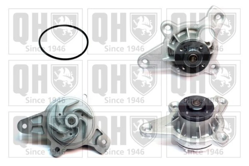 Image of QUINTON HAZELL Water pump QUINTON HAZELL QCP3769