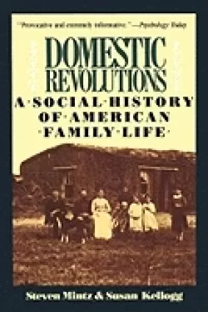 Image of domestic revolutions a social history of american family life