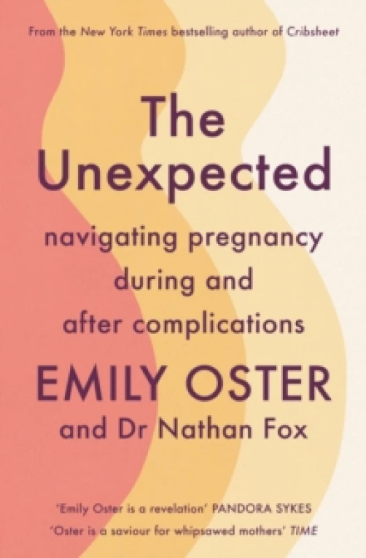 Image of The Unexpected : Navigating Pregnancy During and After Complications Paperback / softback