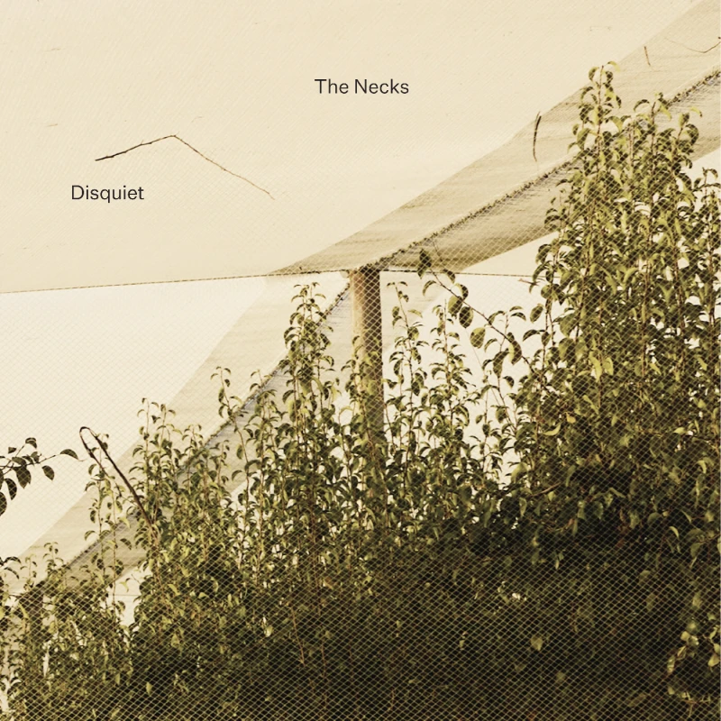 Image of Disquiet CD / Box Set