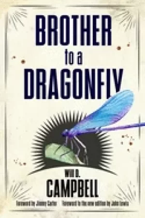 Image of brother to a dragonfly