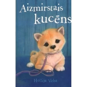 Image of Aizmirstais Kucns