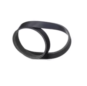 Image of RIDEX V-ribbed belt 305P0301 Serpentine belt,Auxiliary belt FORD,VOLVO,Focus II Schragheck (DA_, HCP, DP),Focus II Kombi (DA_, FFS, DS)