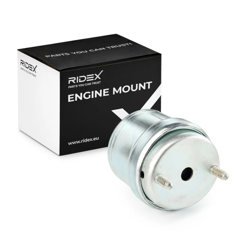 Image of Engine mount RIDEX 247E0313