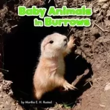 Image of Baby Animals in Burrows