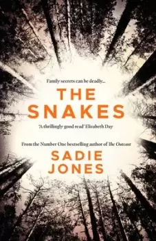 Image of The snakes by Sadie Jones