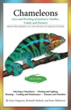 Image of chameleons care and breeding of jacksons panther veiled and parsons