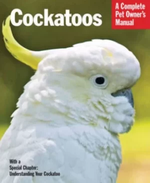 Image of Cockatoos by Werner Lantermann