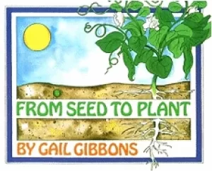 Image of from seed to plant