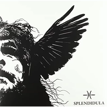 Image of Splendidula - Somnus Vinyl