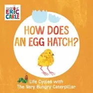 Image of how does an egg hatch life cycles with the very hungry caterpillar