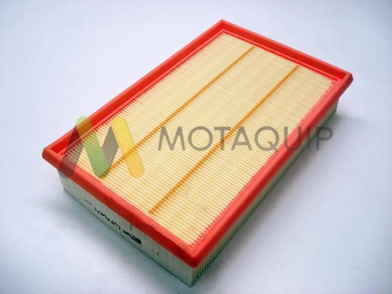 Image of MOTAQUIP Air filter MOTAQUIP LVFA1474