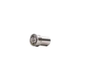 Image of Bosch Injector MERCEDES-BENZ 0 434 250 120 0010174612,A0010174612,0010174612