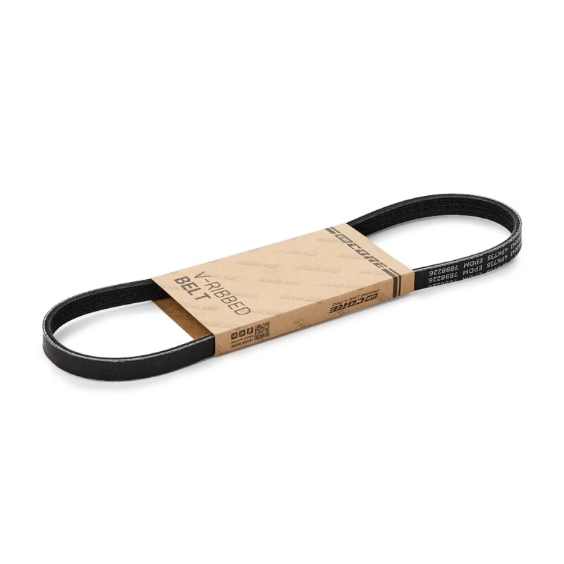 Image of goCORE GCC050041 V-ribbed belt V-Ribbed Belts (305)