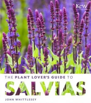 Image of The plant lovers guide to salvias by John Whittlesey