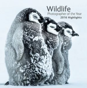 Image of Wildlife Photographer of the Year by Rosamund Kidman Cox Book