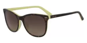 Image of CK Sunglasses 18510S 241