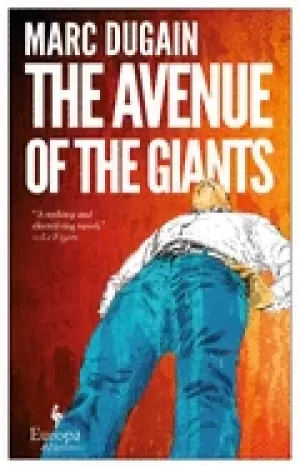 Image of avenue of the giants