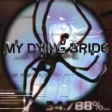 Image of 34.788% Complete