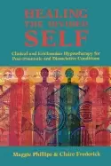 Image of healing the divided self clinical and ericksonian hypnotherapy for dissocia