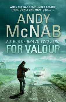 Image of For Valour by Andy Mcnab Book