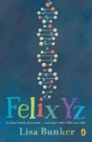 Image of felix yz
