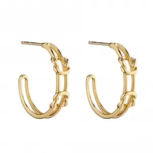 image of 9ct Double Parallel Knots Yellow Gold Hoop Earrings GE2351