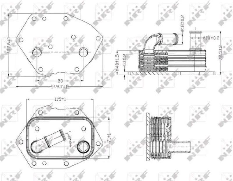 Image of NRF 31313 Oil Cooler EASY FIT with gaskets/seals Oil Cooler,engine oil (469)