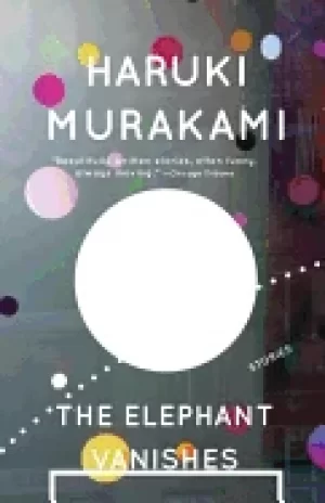Image of elephant vanishes