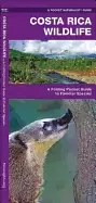 Image of costa rica wildlife a folding pocket guide to familiar animals