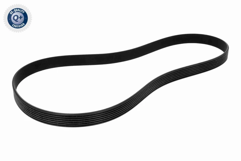 Image of VAICO V24-1209 V-ribbed belt Q+, original equipment manufacturer quality V-Ribbed Belts (305)