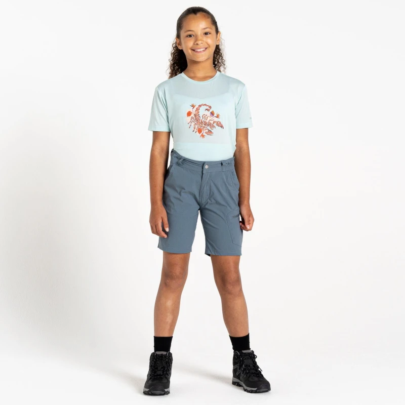 Image of Regatta Unisex Kids Reprise Walking Shorts Element Grey unisex 5-6 Years