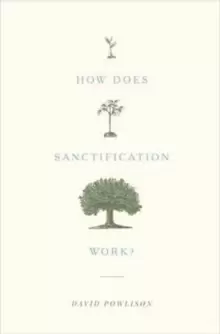 Image of How Does Sanctification Work?