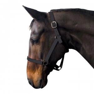 Image of Requisite Economy Headcollar - Black