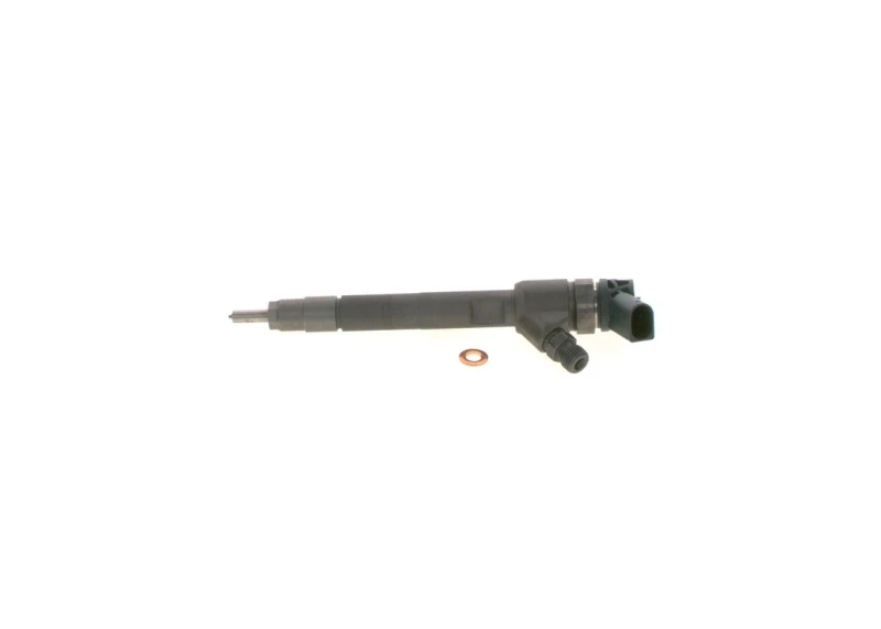Image of Bosch 0 445 110 573 Injectors with seal ring Injector Nozzle (3902)