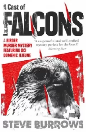 Image of A cast of falcons by Steve Burrows