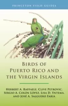 Image of Birds of Puerto Rico and the Virgin Islands : Fully Revised and Updated Third Edition