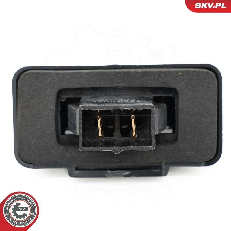 Image of ESEN SKV Number plate light ESEN SKV 72SKV021