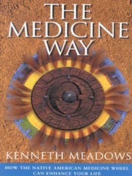 Image of The Medicine Way by Kenneth Meadows Paperback