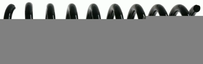 Image of Coil spring SACHS 994 076