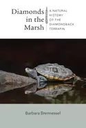 image of diamonds in the marsh a natural history of the diamondback terrapin