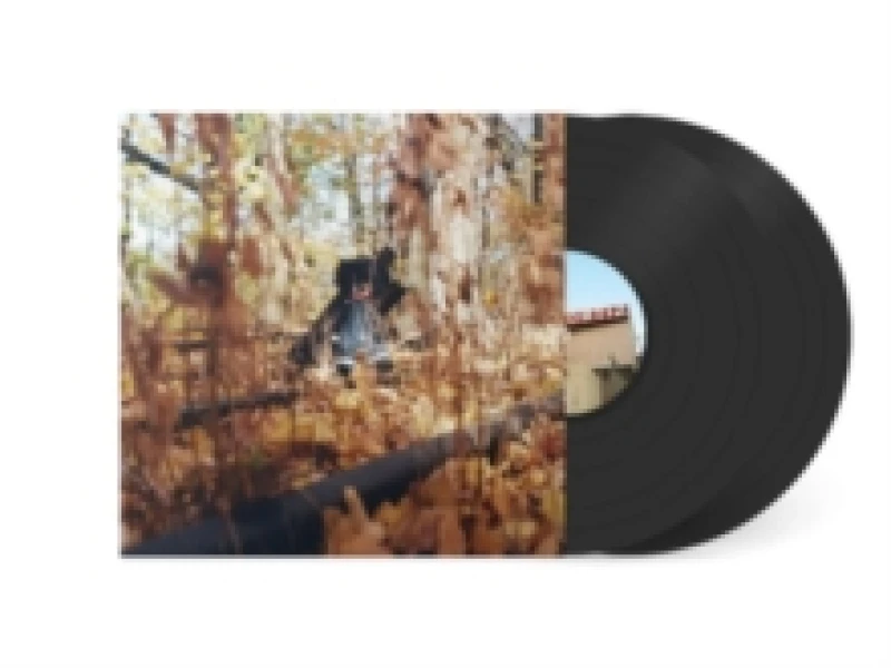 Image of GOLLIWOG Vinyl