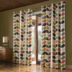 image of Curtains Multi Stem MULTI Curtains 66 x 90 - Orla Kiely