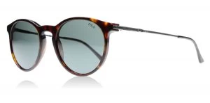 Image of Polo PH4096 Sunglasses Tortoise 500387 50mm