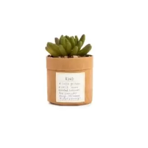 Image of Plant Kindness - Kind