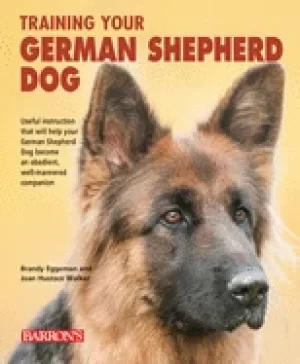 Image of training your german shepherd dog