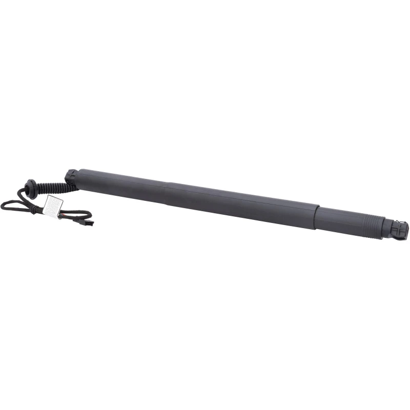 Image of Tailgate strut DIEDERICHS 9100518